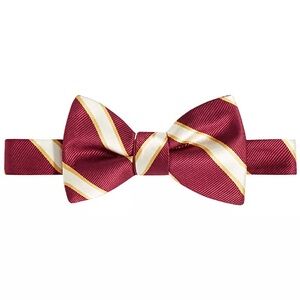 Tayion Collection Men's Crimson & Cream Stripe Bow Tie